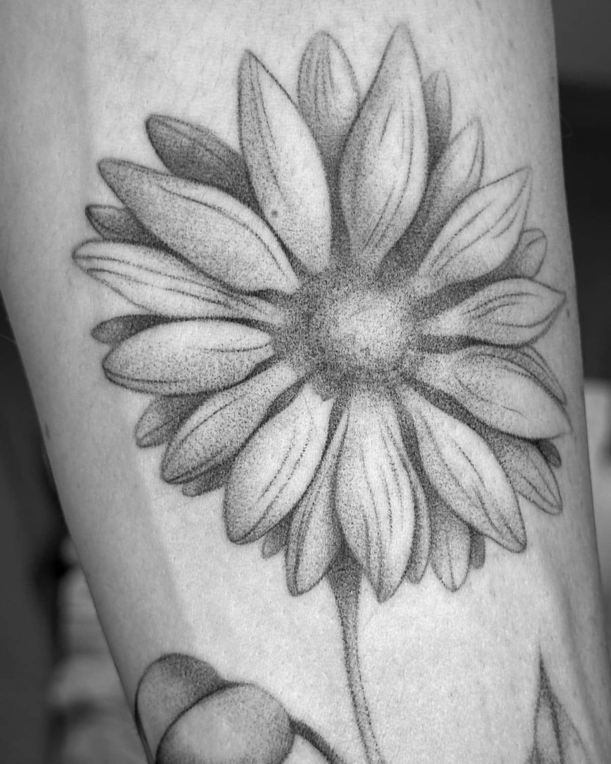 Tatouage floral réalisé à Namur par Inked Capricorn — pièce 1